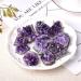 Crystal Rough 1PC Natural Amethyst Crystal Cluster Quartz Raw Crystals Stone Decoration Ornament Purple Stone Ore 1PC Random Delivery - Buy Online on GoSupps.com