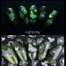 Glow in The Dark Nail Art Stickers - 8 Sheets 3D Self-Adhesive Decals for Manicure - Flowers, Leaves, Butterflies, Dragonfly Designs - Buy Online on GoSupps.com