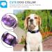 Shop Heele Purple Dog Collar for Small & Medium Dogs | Adjustable & Comfortable Patterned Collars for Puppies (XS: 21.6-28cm) - Buy Online on GoSupps.com