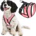 Gooby Comfort X Head in Harness - No Pull Small Dog Harness with Patented Choke-Free X Frame - Perfect on The Go Dog Harness for Medium Dogs No Pull or Small Dogs for Indoor and Outdoor Use Medium Chest (14.25-18.75" Pink