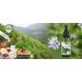 Alphapower Stevia Flavor Drops | Natural Liquid Aroma & Sugar Substitute | Raspberry Pineapple Mango Cherry Peach - Perfect for Water Muesli Desserts & Smoothies - Buy Online on GoSupps.com