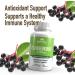 Windmill Natural Vitamins Elderberry Capsules Supports Immune System Potent Antioxidants 1 150 mg of Elderberry 60 Capsules 30 Servings - Buy Online on GoSupps.com
