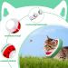 RosewineC Adjustable Cat Cone Collar Cute Watermelon Cat Recovery Collar Soft Cat Cones After Surgery for Cats Kittens - Buy Online on GoSupps.com