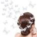 10pcs Butterfly Hair Clips White Embroidery Lace Hair Bobby Pins Barrettes Hair Accessory Alligator Clips for Women Girls Teens