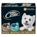 CESAR Filets in Sauce Wet Dog Food - 6 New York Strip Flavour and 6 Chicken & Garden Vegetable 12x100g NY Strip - Chicken & Vegetable 100 g (Pack of 12)