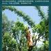 Pu-erh tea 2022 Xinmane old tree 357g Raw - Buy Online on GoSupps.com