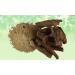 India's creation Giloy Stem Powder-Tinospora Cordifolia-Raw Herbs-Giloi-Guduchi-Amrita-Amruta-Jadi Booti-Single Herbs (100 Gram) 100.00 g (Pack of 1) - Buy Online on GoSupps.com