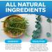Foot Balm Blue - Cream for dry skin - For dry feet - Dry and Cracked Feet - Rosemary & Eucalyptus - 150ML - Imperial feet - Buy Online on GoSupps.com