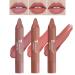 BKPPLZP 3 Pcs Matte Nude Lipstick Set Lip Crayon Lipstick for Women Velvet Smooth Lip Gloss Stain Non-Stick Cup Lip Stick Moisturing Long Lasting Waterproof Lipstick Lip Makeup(Set B)