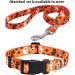 Mihqy Halloween Dog Collar - Adjustable Soft & Comfortable for Small & Medium Dogs and Cats | XS Size (Neck 20-30 cm Width 1.5 cm) - Buy Online on GoSupps.com