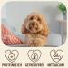 Petlove Hard Cheese for Dogs - 100% Natural Chewing Bones | Cauca Cheese Dental Chew | Ideal for On-the-Go | Size L (80-110G) - Buy Now! - Buy Online on GoSupps.com