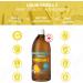 Omega-3 Supplement Liquid 500ml 1380mg EAP + DHA for Kids and Adults non-GMO Gluten Free - Made in Canada 500 ml (Pack of 1) - Buy Online on GoSupps.com