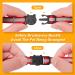 Extodry Reflective Cat Collar Set - 8 Pieces with Name Address Tags & Safety Lock | Adjustable Kitten Collars (6-9) | Personalized Pet Accessories (15-23cm) - International Shipping Available - Buy Online on GoSupps.com