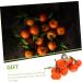 Artibetter 3pcs Simulation Sugar Orange Artificial Oranges Model Fruits Fake Orange Decor for Home Orange Slices Lifelike Oranges Toy Small Fruit Plastic Showcase - Buy Online on GoSupps.com
