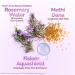 Mamaearth Rosemary Water Anti-Hair Fall Spray with 100% Pure Rosemary Water & Methi Dana 200ml | Stronger Denser Hair | 24Hr Frizz Control | Folligen ANA Lupe Fision Aquashield | Shiny Smooth Hair - Buy Online on GoSupps.com