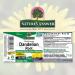 Nature's Answer Alcohol Free Dandelion Root Extract - 1 Fl Oz (Pack of 1) - Buy Online on GoSupps.com