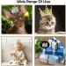 BIPY 2Pcs Dog Crown Pet Birthday Hats Cat Tiara Crown Headpiece Gold Silver Princess Rhinestone Faux Pearl Birthday Cake Topper for Medium Large Puppy Cats Doggies Party Wedding Hair Accessories - Buy Online on GoSupps.com