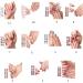 ANXPTIME Gel Nail Stickers Semi Cured Gel Nail Strips Professional Gel Nail Strips Full Wraps For Girls No Waiting Time No Nail Damage Uv Led Lamp Required Nail Decoration Bss0244 - Buy Online on GoSupps.com