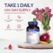 Whollium Hyaluronic Acid Capsules 250mg + 25mg VC | Joint, Skin, & Eye Support | Low Molecular Weight | Gluten-Free, Non-GMO | Vegan | 120 Caps - Buy Online on GoSupps.com