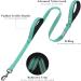 Vivaglory Traffic Handle Dog Leash - Padded Reflective & Strong Metal Hook - 1.2m x 2.5cm - Turquoise | International Shipping Available - Buy Online on GoSupps.com