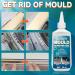 Mould Remover Gel Deep Mould Cleaner Gel 140g Large Capacity Mould Remover Household Black Mould Remover Gel for Kitchen Bathroom Tile Stains Sink (140ml) 140 ml (Pack of 1) - Buy Online on GoSupps.com