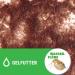 Tetra Freshdelica Daphnia - Natural Snack with Water Fleas for Decorative Fish | 16 x 3g Jelly Delicacies - 48g Pack - Buy Online on GoSupps.com