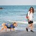 Alagirls Dog Lifebarf & Reflective Pet Security Vest - Adjustable Swimming Coat for Small & Medium Dogs | Rescue Handle | Blue (Chest 58-68cm) - Buy Online on GoSupps.com
