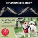 Slowton Dog Harness with Seat Belt for Car - Breathable Latex Puppy Harness for Everyday Sports (Red L) | Safe & Comfortable Dog Accessories - Buy Online on GoSupps.com