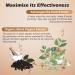 OMOGS Organic Ashwagandha Pure Herb Extract Added Black Pepper High Absorption for Boosts Energy Sleep Focus Stress Relief.& Immune Support Non-GMO 90 Vegetable Capsules - Buy Online on GoSupps.com