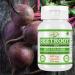 Morsan Nutraveda Beetroot (Beta vulgaris) Capsules - 500mg Beet Root Powder Aids Healthy Circulation & Vitality Non-GMO Beet Root Supplement - 60 Capsules 30-Day Supply (4) - Buy Online on GoSupps.com