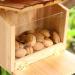 TRIXES Squirrel Feeding Station - Natural Wood, Opening Roof for Garden Wildlife - Buy Online on GoSupps.com