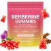 BTSE Berberine Gummies - Berberine Complex Gummies for Metabolism Energy - Natural Watermelon Flavor 60 Gummies