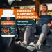 Buy Beta Ecdysterone Supplement 1200 mg - 98% Purity | 240 Capsules (Pack of 4) - Enhance Performance & Muscle Growth - International Shipping Available - Buy Online on GoSupps.com