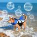 Alagirls Dog Life Jacket | Premium Dog Lifesaver Vest with Rescue Handle | Blue XXL (74-84cm) for Small Medium & Large Dogs - Buy Online on GoSupps.com
