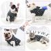 Stylish Dog & Cat Sweaters | Small to XL Sizes | Trendy Chihuahua Bulldog & Puppy Apparel - Buy Online on GoSupps.com