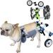 Wheelchair for Dogs Back Legs Adjustable Dog Wheelchair Handicapped Hind Legs Pet Rehabilitation Cart Portable Dog Mobility Wheelchair for Small Cats/Dogs (C : White S : X-Small) X-Small White
