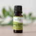 Buy Plant Therapy Lemon Scented Tea Tree Essential Oil 10 mL 100% Pure Natural Aromatherapy for Uplifting Refreshing & Deodorizing Aroma International Shipping Available - Buy Online on GoSupps.com