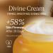 L'OCCITANE Immortelle Divine Cream 50 ml | Vegan & 93% Readily Biodegradable | Natural Alternative to Retinol | Luxury & Clean Beauty Anti-Ageing Moisturizer For All Skin Types - Buy Online on GoSupps.com