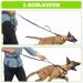 Premium Jogging Leash for Large & Medium Dogs - Retractable Dog Leash with Double Handle & Waist Belt - Ideal for Active Pet Owners (Green) - Buy Online on GoSupps.com