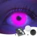 Colored UV Contact Lenses - Pink Black Light Glow Annual Lenses for Halloween Mardi Gras Carnival | Top Quality Neon Color with Containers - Buy Online on GoSupps.com