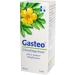 Gasteo Stomach Drops - 50ml | 6 Unique Gastrointestinal Medicinal Plants for Instant Relief - Shop Internationally - Buy Online on GoSupps.com