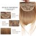 Bangs Hair Clip Synthetic Bangs Hair Clip in Extensions French Natural Fringe Bangs Clip in Thick Front Neat Flat Bang Short Straight Hair piece Bangs with Temples Bangs Clip in Hair (Color : SW65-18 SW65-18H613 - Buy Online on GoSupps.com
