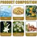 Natural Herbal Hemorrhoid Cream Hemorrhoid Cream Hemorrhoids Ointment Anal Cream Natural Healing Hemorrhoid Fissure Bleeding Natural Fast Pain Relief Cream (1PCS) - Buy Online on GoSupps.com