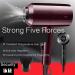 Portable Mini Hair Dryer 1100w Hair Dryer Travel Hair Dryer - Buy Online on GoSupps.com
