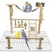 Top Cage Bird Playground & Gym Set for Conure, Parakeets, Cockatiels, Lovebirds - Hanging Chewing Toys & Wood Perch Stand - Buy Online on GoSupps.com