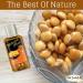 Nature Max Lupine Oil Essential Oils Natural Undiluted Pure for Hair and Skin Care Cold Pressed Premium (1 Pack 2.70 oz / 80 ml)  - Buy Online on GoSupps.com