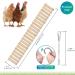 KATUMO Chicken Swing & Perch Toy for Coop - Natural Wood Ladder for Birds, Parrots - 44.09'' Length - Buy Online on GoSupps.com
