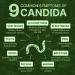 Candisite | Candida Cleanse | 10-in-1 Advanced Formula - Wormwood Black Walnut PAU D Arco | Supports Digestive & Microbial Balance | Candida Support | 60 Gummies - Buy Online on GoSupps.com