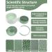 3 in 1 Silicone Makeup Brush Cleaner Bowl - Green | Brush Drying Rack & Storage for Brushes Sponges & Powder Puffs | Ideal Makeup Cleaning Tool - Buy Online on GoSupps.com