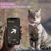 Mouyou Leather Airtag Cat Collar - Adjustable Pink Neck Band for Cats & Small Dogs | Safety Lock & Holder for Tracking (28-37cm) - Buy Online on GoSupps.com